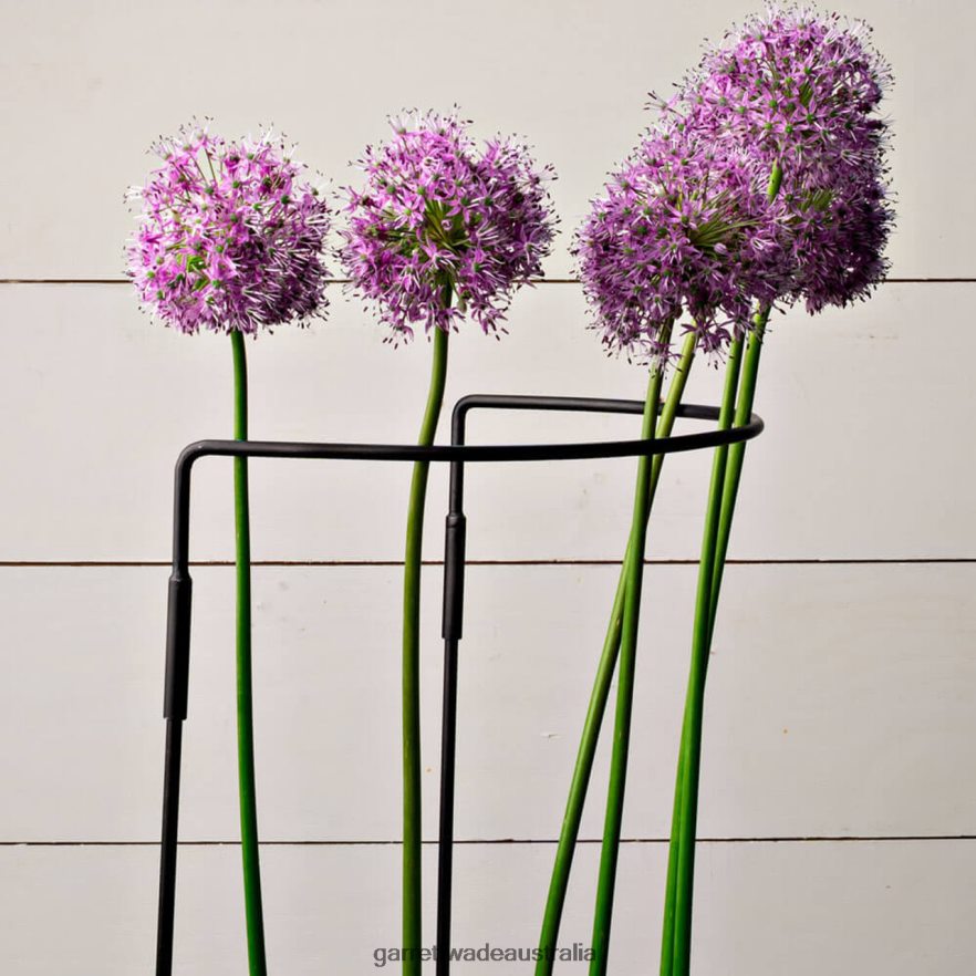 Garrett Wade Half-Circle Steel Garden Support Garden 46JHVR157