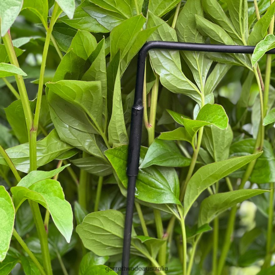 Garrett Wade Half-Circle Steel Garden Support Garden 46JHVR157