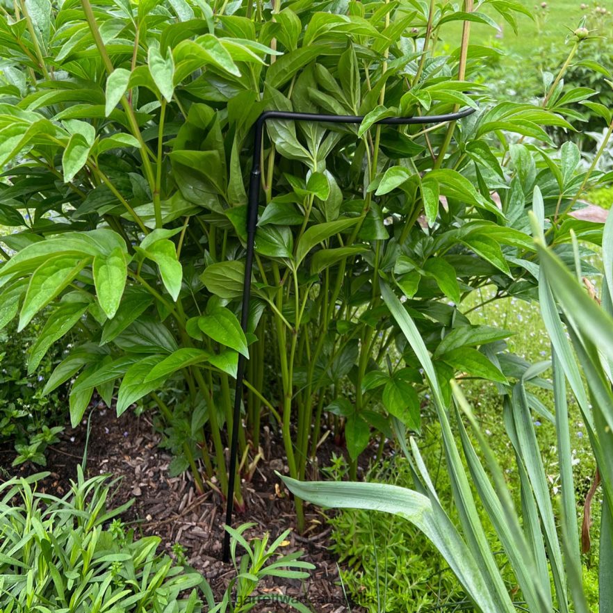 Garrett Wade Half-Circle Steel Garden Support Garden 46JHVR157