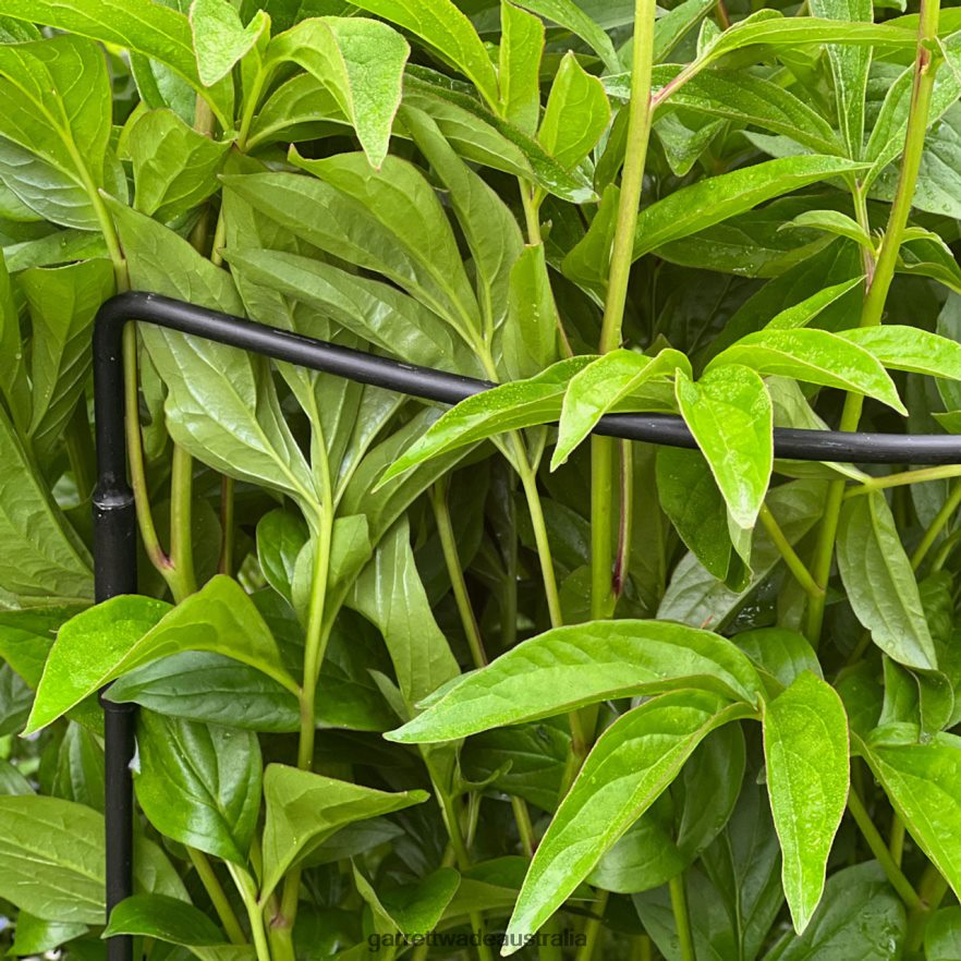 Garrett Wade Half-Circle Steel Garden Support Garden 46JHVR157