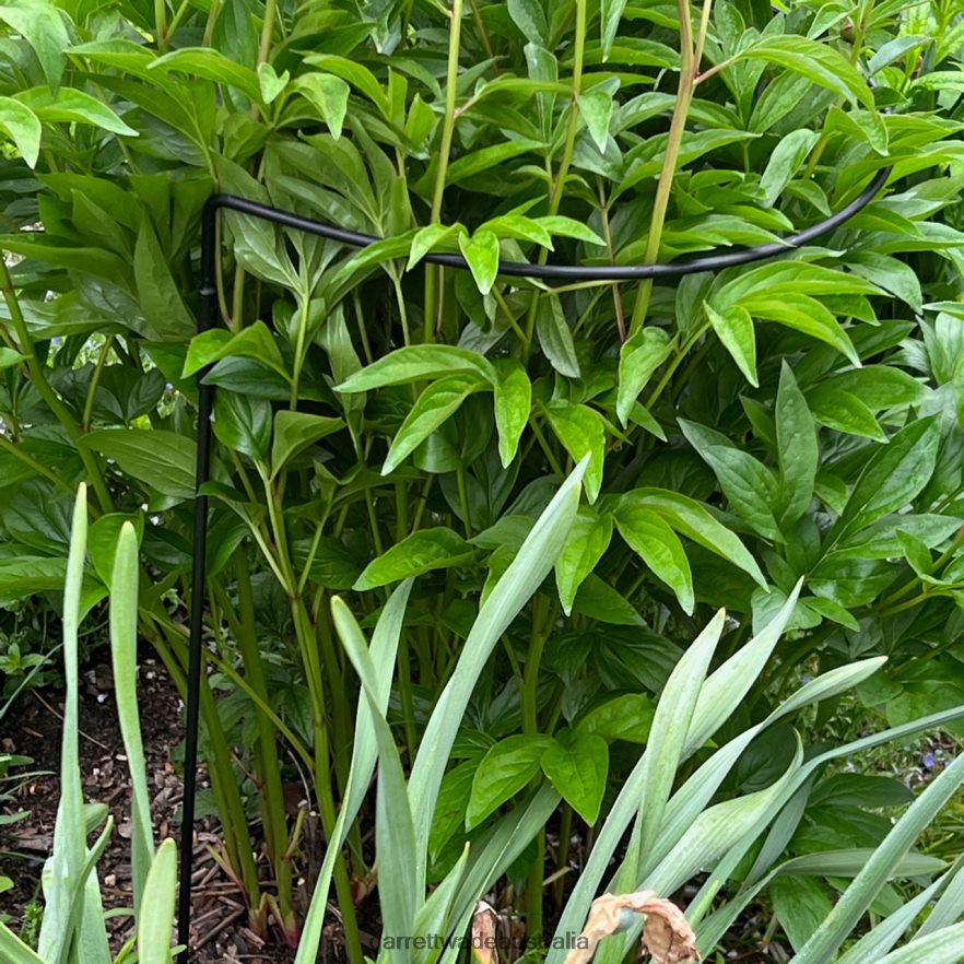 Garrett Wade Half-Circle Steel Garden Support Garden 46JHVR157