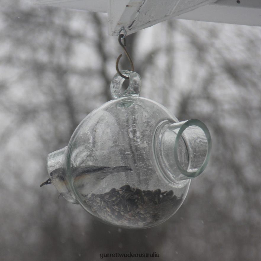 Garrett Wade Large Glass Bird Feeder Garden 46JHVR160