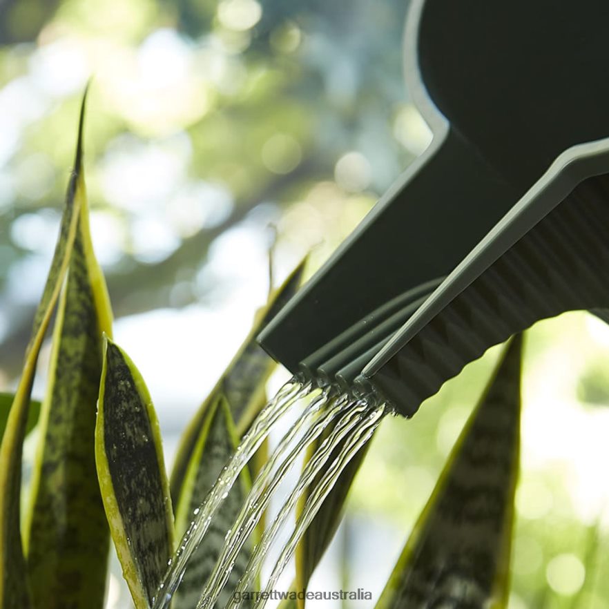 Garrett Wade Modern Japanese Watering Can - 5 Liters Garden 46JHVR125