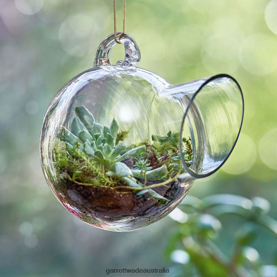 Garrett Wade Small Hanging Glass Terrarium Garden 46JHVR172