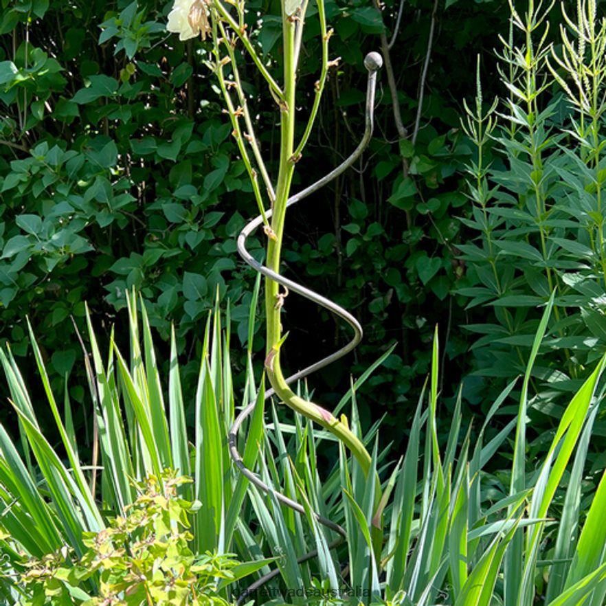 Garrett Wade Spiral Plant Supports (Set of 2) Garden 46JHVR158