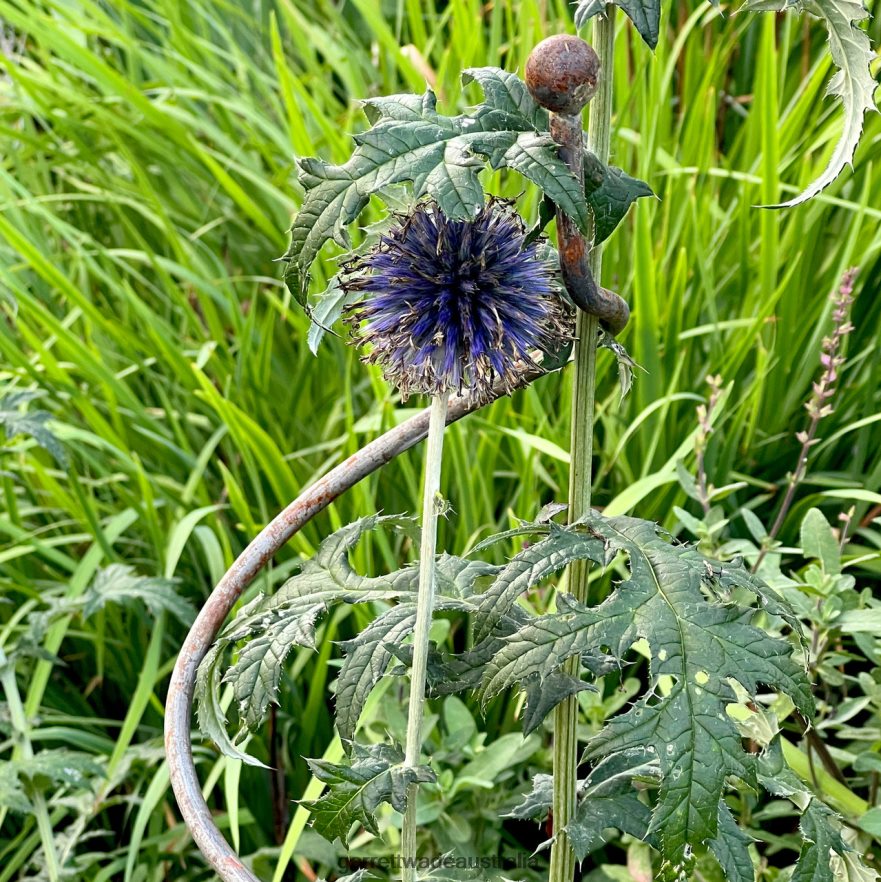 Garrett Wade Spiral Plant Supports (Set of 2) Garden 46JHVR158