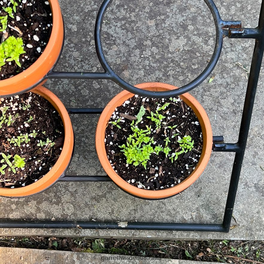 Garrett Wade Terracotta Planter Stand Including 9 Pots Garden 46JHVR136