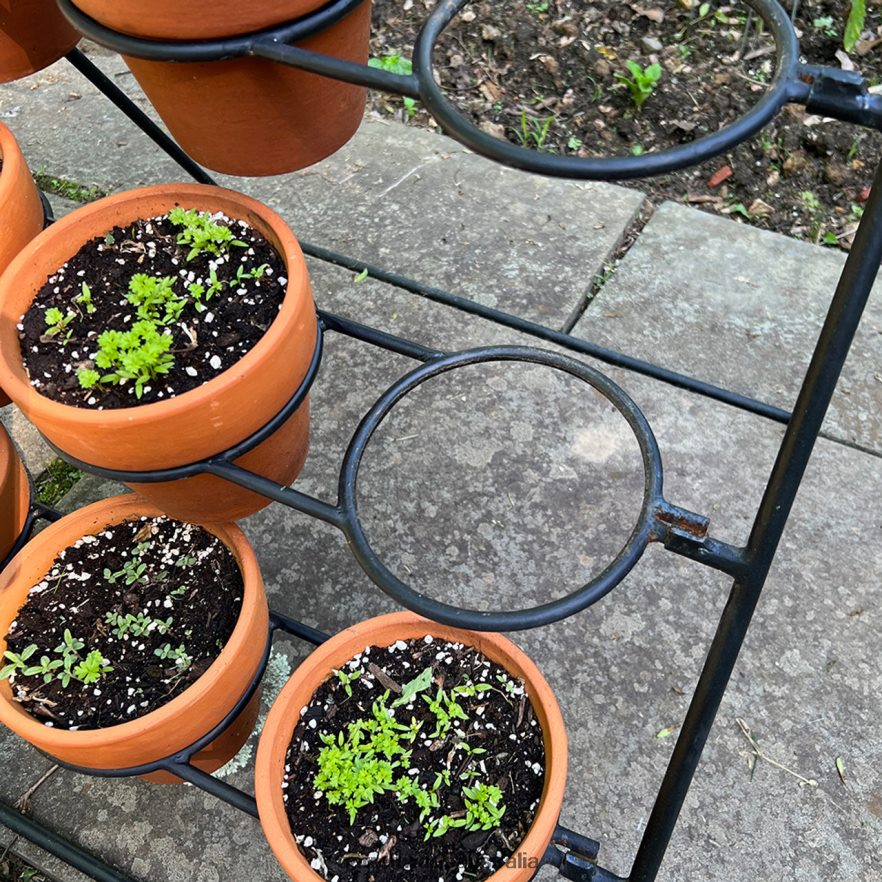 Garrett Wade Terracotta Planter Stand Including 9 Pots Garden 46JHVR136
