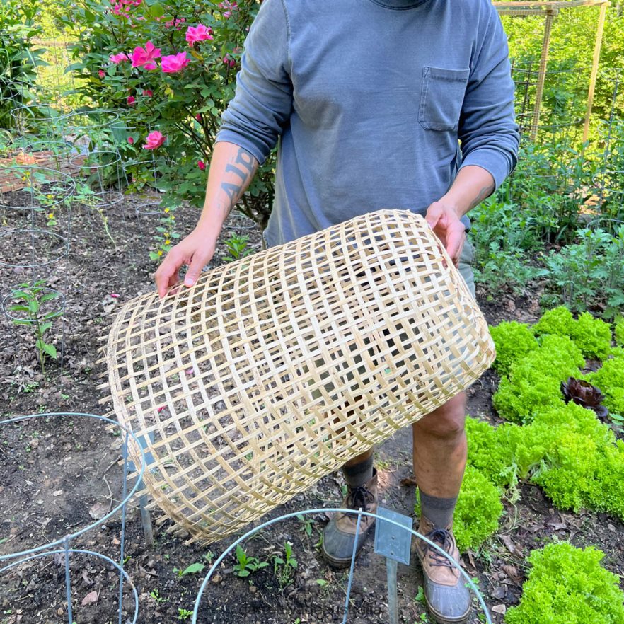 Garrett Wade Woven Bamboo Garden Cloche Garden 46JHVR152