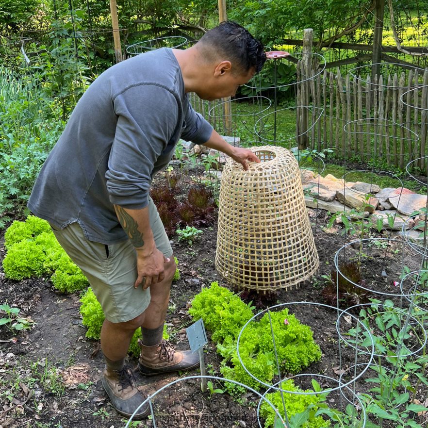Garrett Wade Woven Bamboo Garden Cloche Garden 46JHVR152