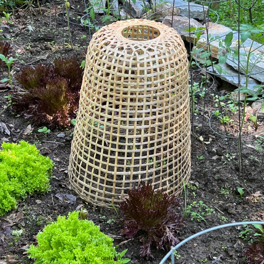 Garrett Wade Woven Bamboo Garden Cloche Garden 46JHVR152