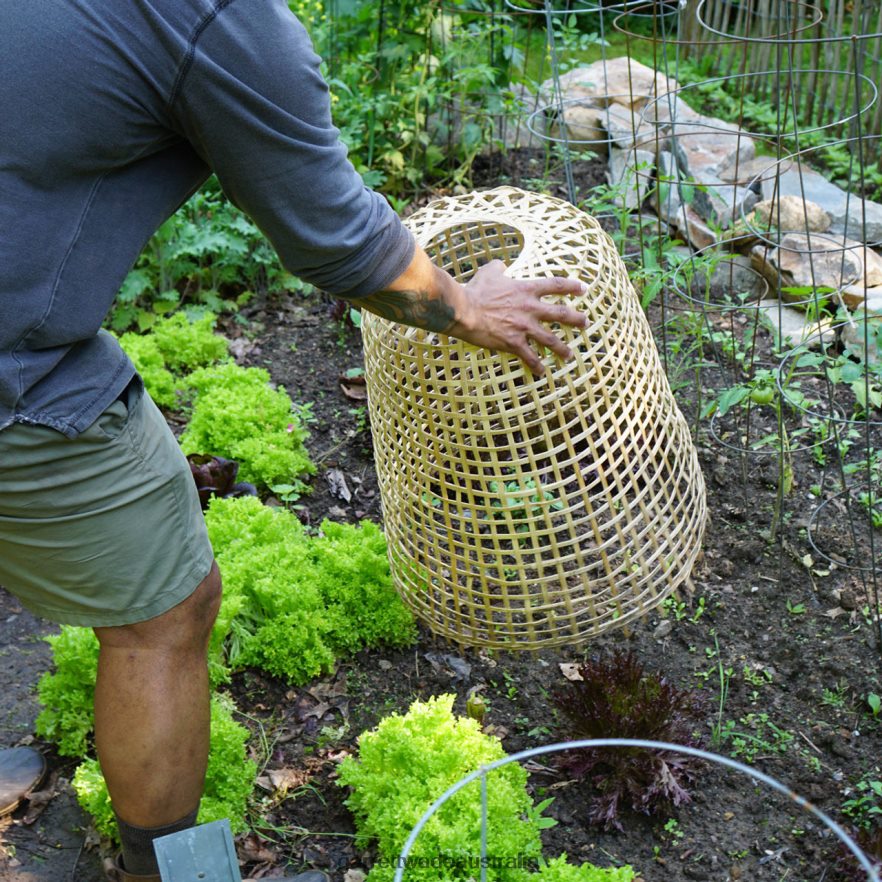 Garrett Wade Woven Bamboo Garden Cloche Garden 46JHVR152