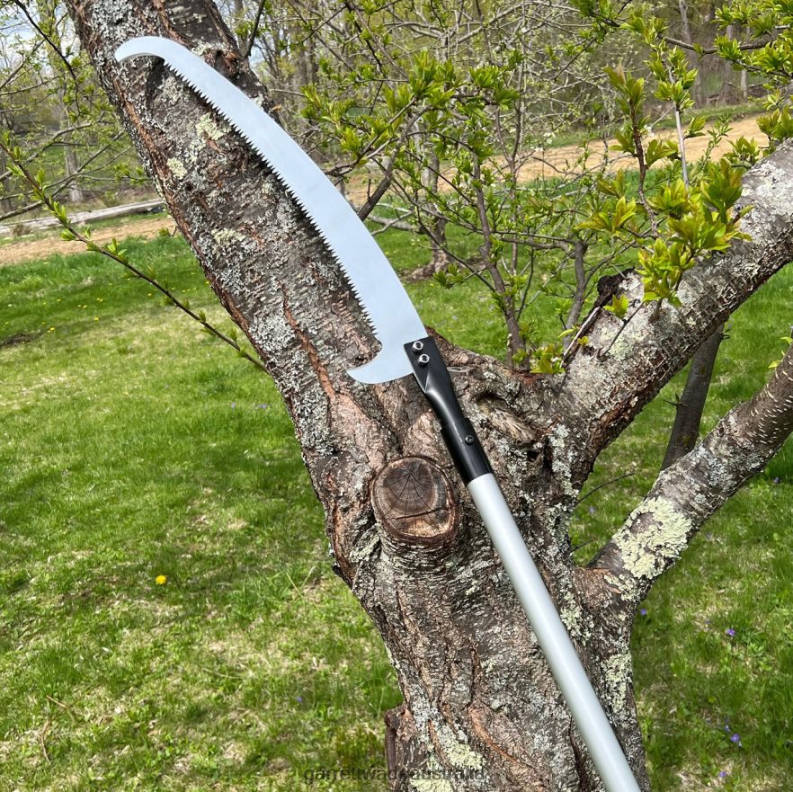 Garrett Wade 10' Extendable Pole Saw Garden 46JHVR26