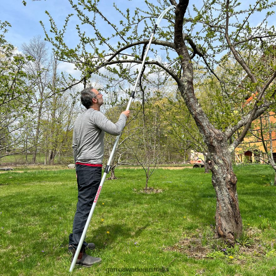 Garrett Wade 10' Extendable Pole Saw Garden 46JHVR26