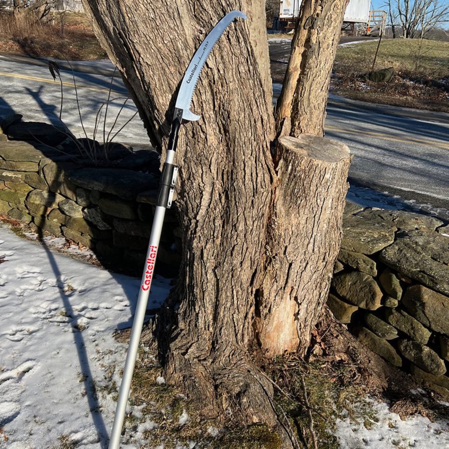 Garrett Wade 10' Extendable Pole Saw Garden 46JHVR26