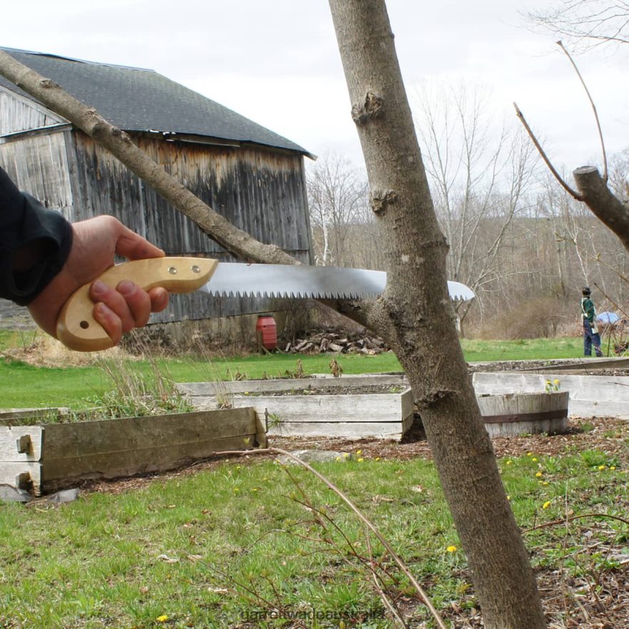 Garrett Wade 12'' Fast-Cut Pruning Saw & Holster Garden 46JHVR34