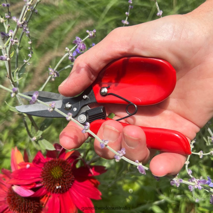 Garrett Wade Ergonomic & Hands-Free Flower Pruner Garden 46JHVR40