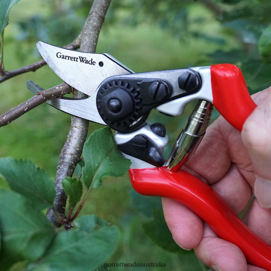 Garrett Wade Everyday Go-To Pruners Garden 46JHVR39