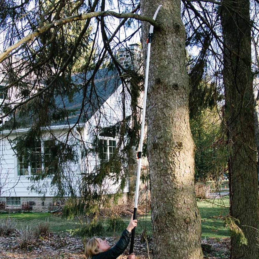 Garrett Wade Extendable Jumbo Pole Saw & Pruner Garden 46JHVR4