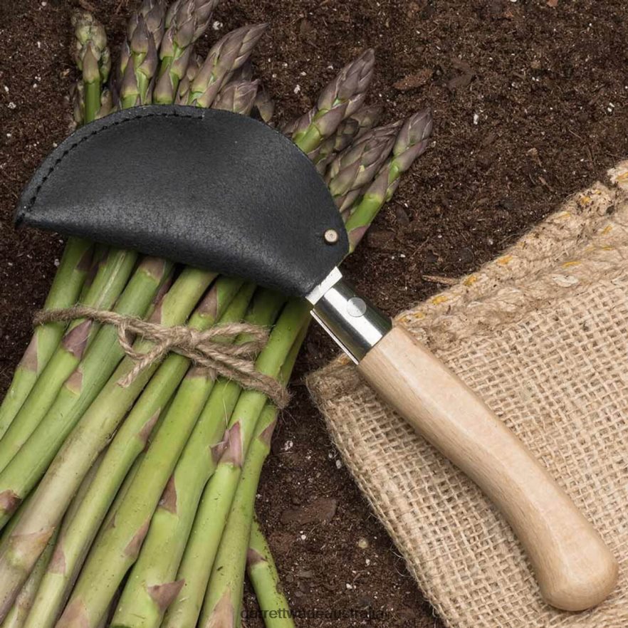 Garrett Wade Harvesting Knife Garden 46JHVR38