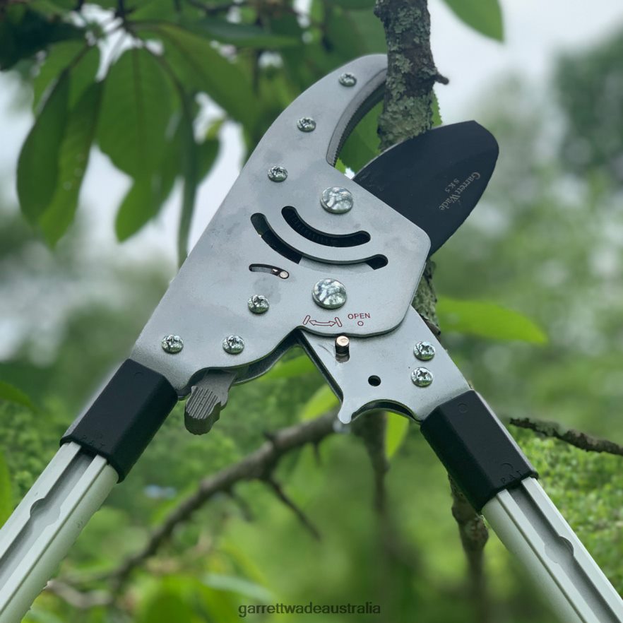 Garrett Wade Heavy Duty Anvil Lopper Garden 46JHVR16