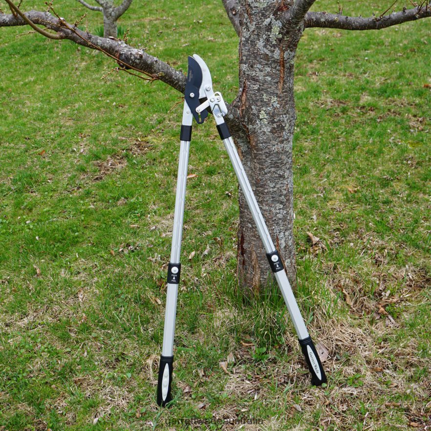 Garrett Wade Heavy Duty Bypass Lopper Garden 46JHVR6