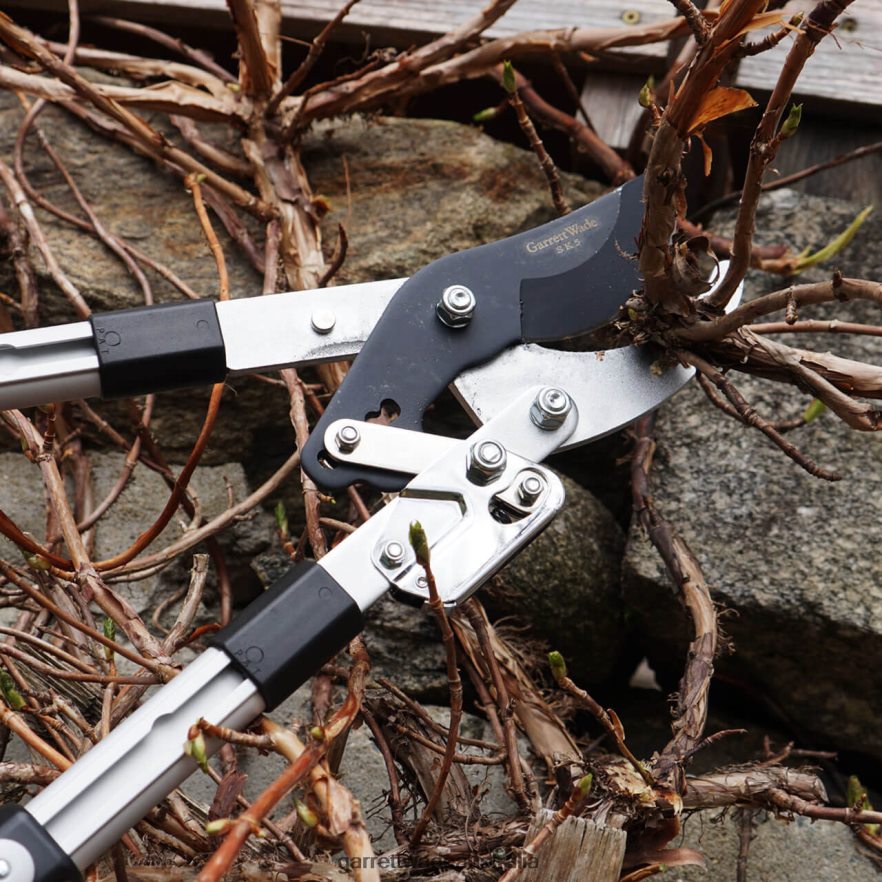 Garrett Wade Heavy Duty Bypass Lopper Garden 46JHVR6