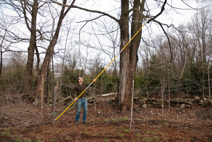 Garrett Wade Hi-Reach 19 ft Pole Saws Garden 46JHVR1