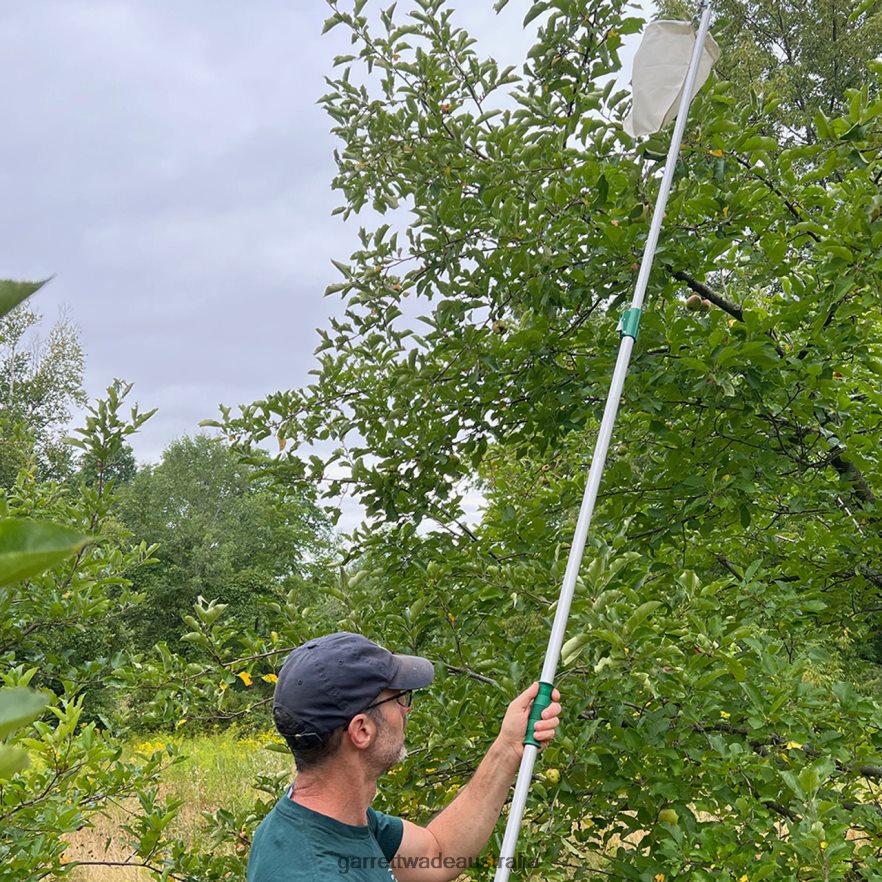 Garrett Wade High-Reach Fruit Picking Basket Garden 46JHVR5