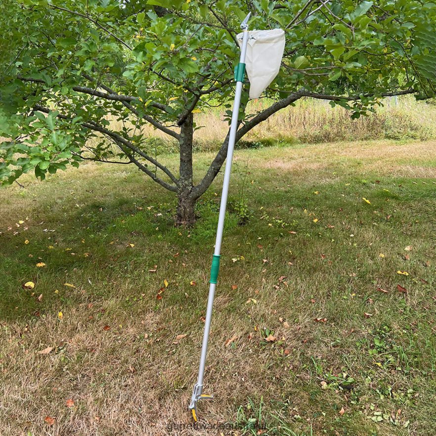 Garrett Wade High-Reach Fruit Picking Basket Garden 46JHVR5