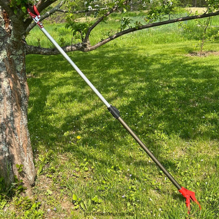 Garrett Wade Long Reach Pruner (Extends to 5 Feet) Garden 46JHVR33