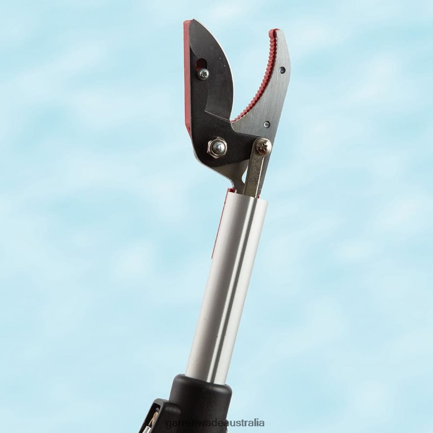 Garrett Wade Long Reach Pruner (Extends to 5 Feet) Garden 46JHVR33