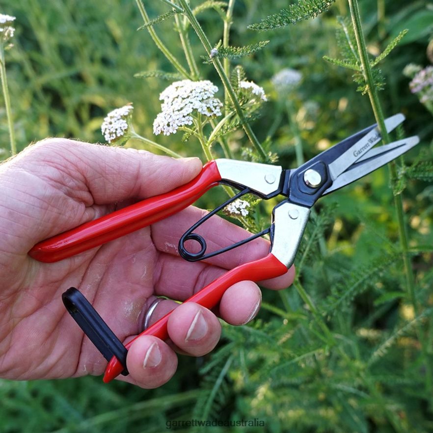 Garrett Wade Pair of Handy Gardening Pruners Garden 46JHVR48