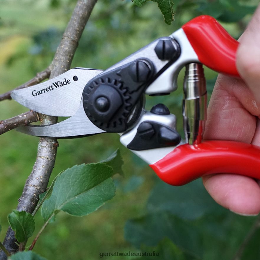Garrett Wade Pair of Handy Gardening Pruners Garden 46JHVR48