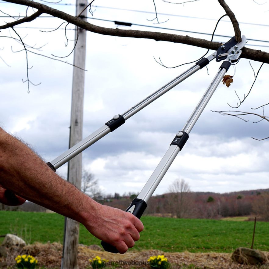 Garrett Wade Premium Ratcheting Pruning Loppers Garden 46JHVR2