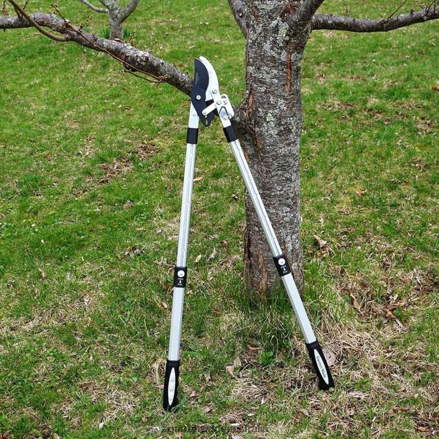 Garrett Wade Premium Ratcheting Pruning Loppers Garden 46JHVR2