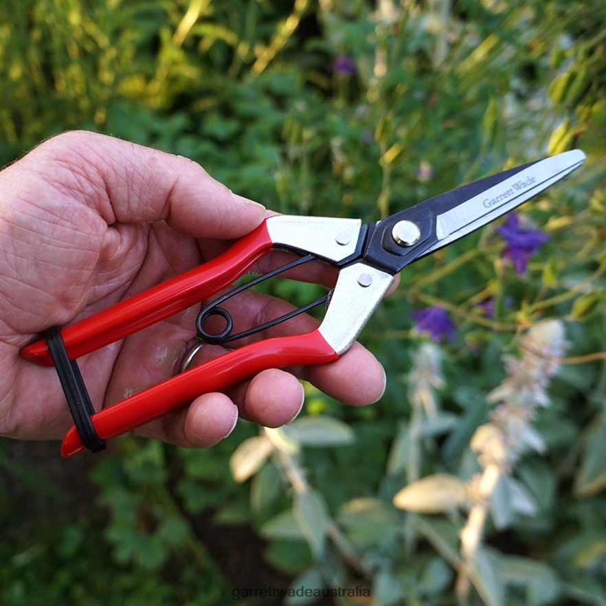 Garrett Wade Spring-Loaded Long-Nose Fruit Scissor Garden 46JHVR59