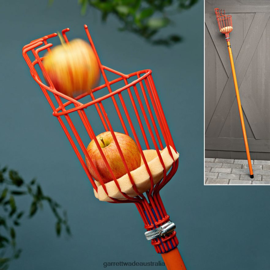 Garrett Wade Tasty Reach'' Telescoping Fruit Picker Garden 46JHVR10