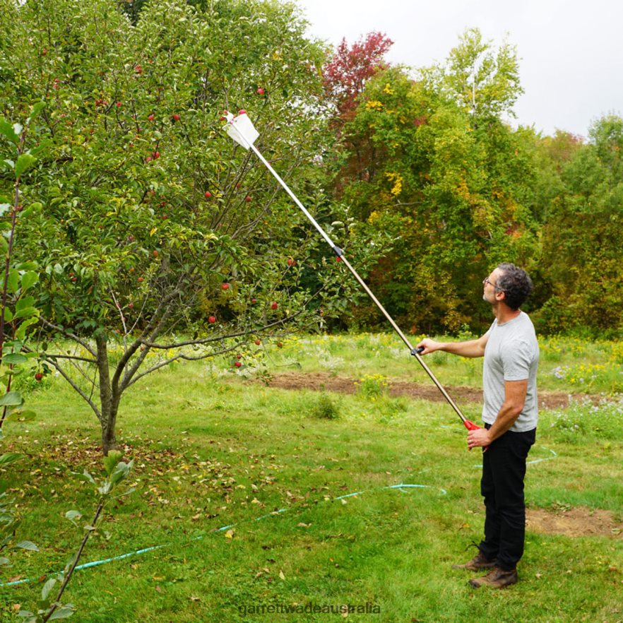 Garrett Wade Telescopic Fruit Picker Garden 46JHVR3