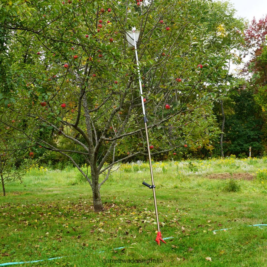 Garrett Wade Telescopic Fruit Picker Garden 46JHVR3