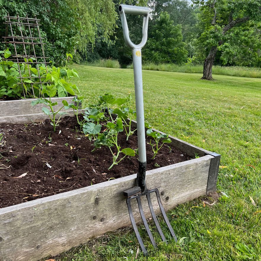 Garrett Wade Four-Tine Digging Fork Garden 46JHVR74