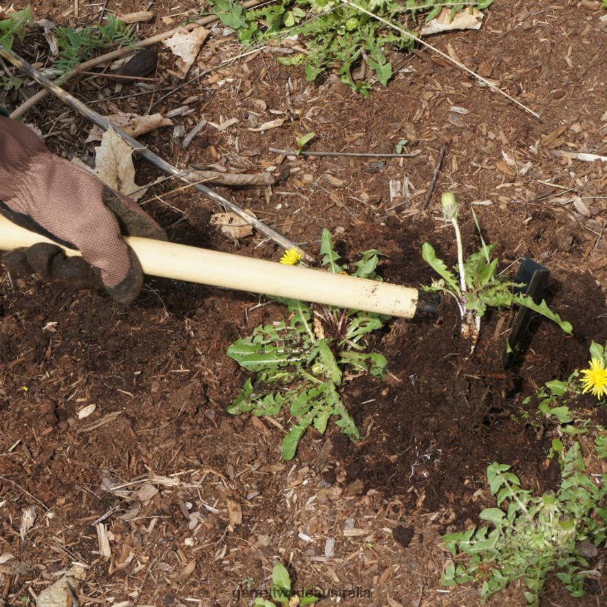 Garrett Wade Japanese Made Triangular Hoe Garden 46JHVR107