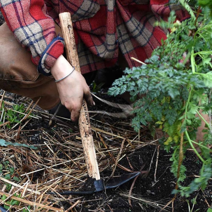 Garrett Wade Mini Hoe with 2-Prong Grubber Garden 46JHVR101