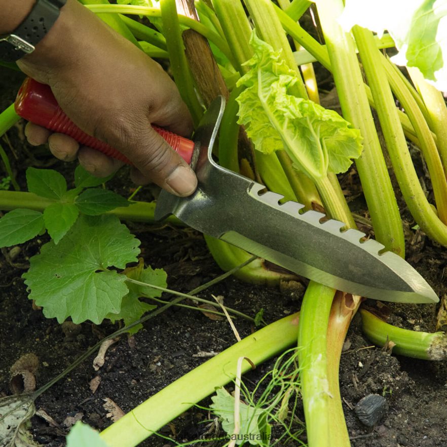 Garrett Wade Professional Gardener's Digging Tool Garden 46JHVR81