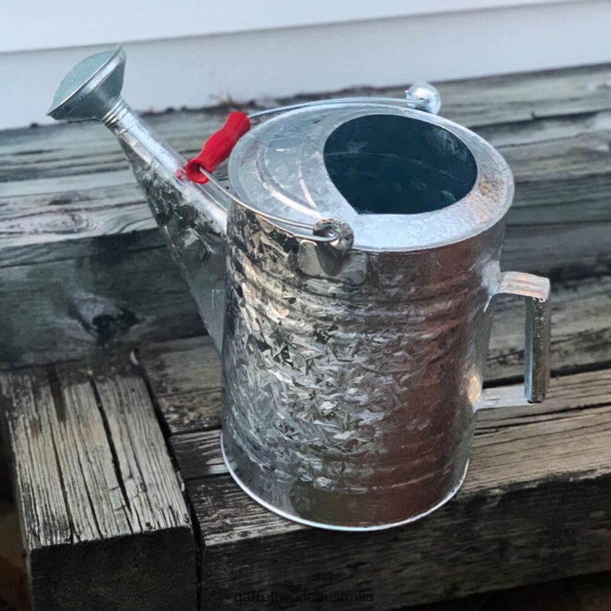 Garrett Wade 2 Gallon Watering Can Garden 46JHVR226