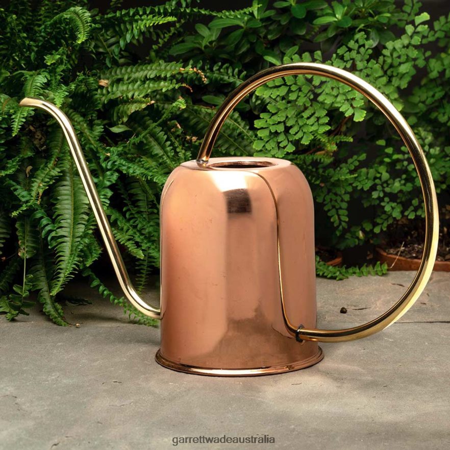 Garrett Wade Copper & Brass Indoor Watering Can Garden 46JHVR217