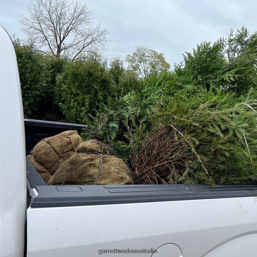 Garrett Wade Powerful Jet Water Nozzle Garden 46JHVR237