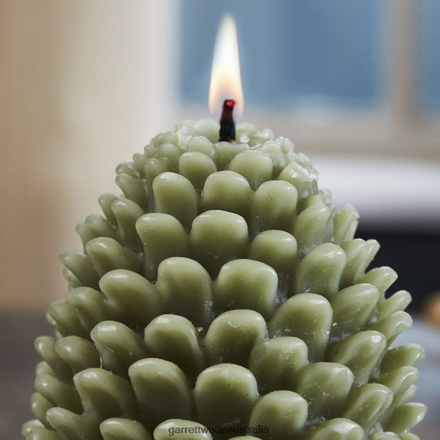 Garrett Wade Pinecone Beeswax Candles- Large Home & Kitchen 46JHVR981