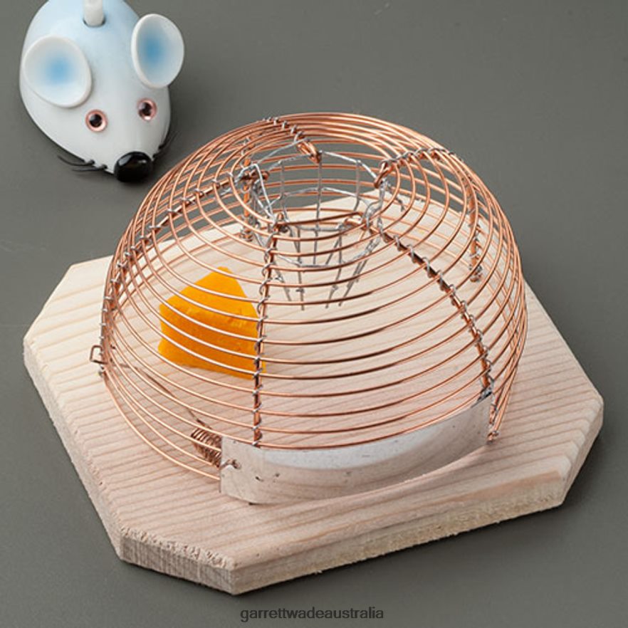 Garrett Wade Humane House Mouse Catcher Home & Kitchen 46JHVR989