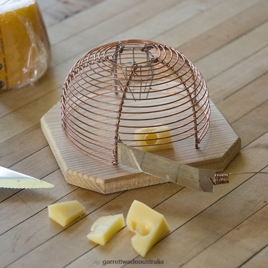 Garrett Wade Humane House Mouse Catcher Home & Kitchen 46JHVR989